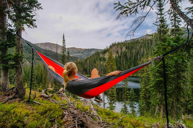 Embracing Nature’s Beauty from the Hammock Haven